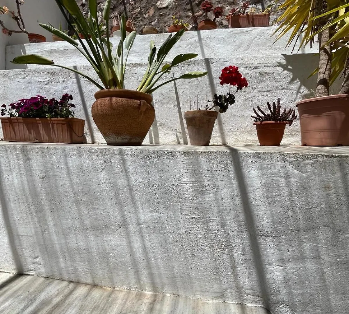 Los Charcones Mijas Spain